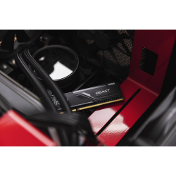 Kingston Technology FURY Beast módulo de memoria 1 x 16 GB 1600 MHz