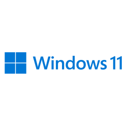 MS WINDOWS 11 PRO 64B DSP